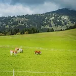 Dachstein West 3 By Interhome Appartamento