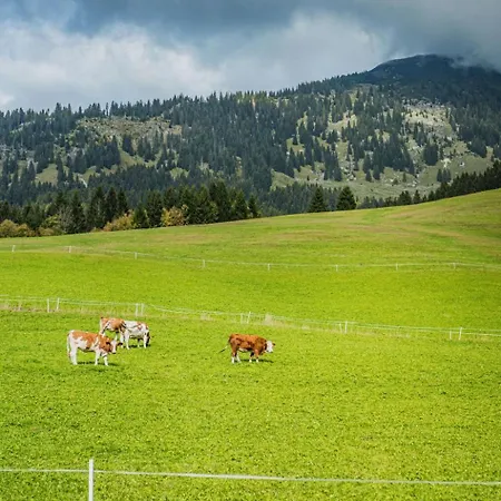 Dachstein West 3 By Interhome Apartment