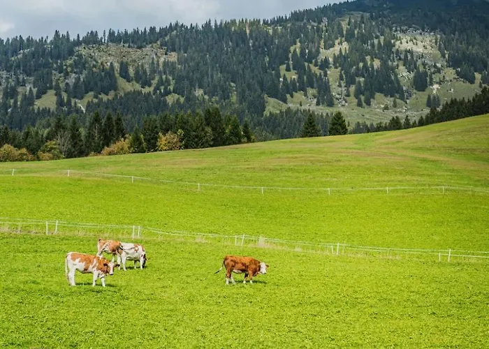 Dachstein West 3 By Interhome Apartment